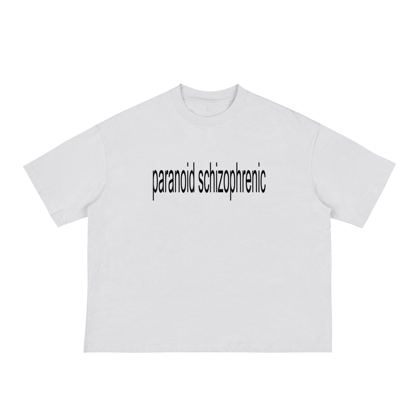 paranoid schizophrenic